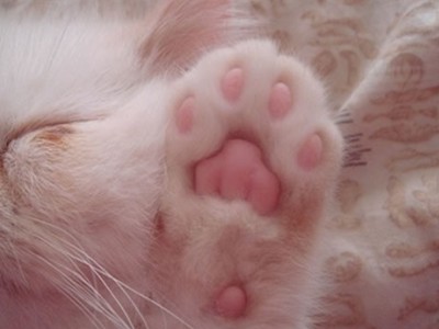 搞笑个性说说:寒假作业我们分手吧,我想我们真的不合适1